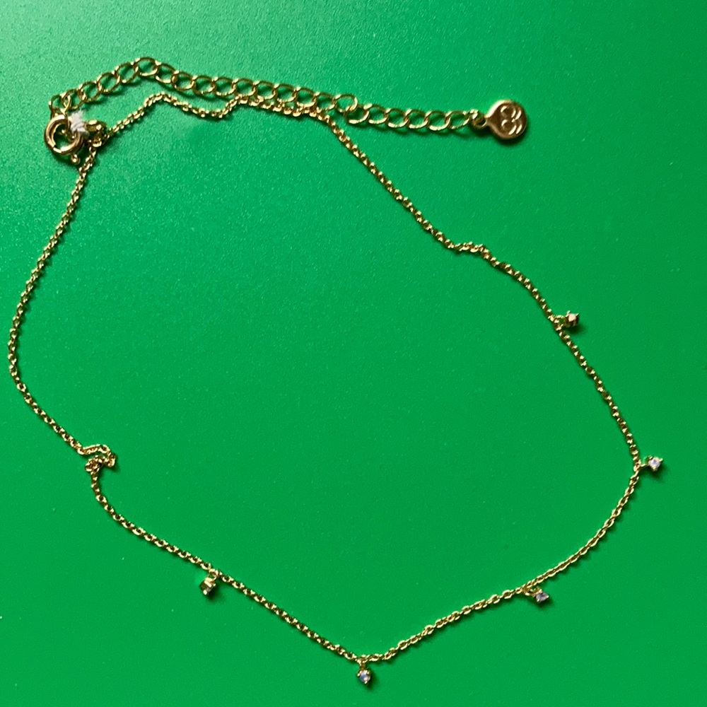 Gorjana Anklet - image 1